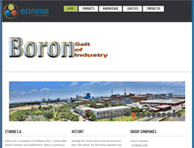 Tablet Screenshot of etimine.com